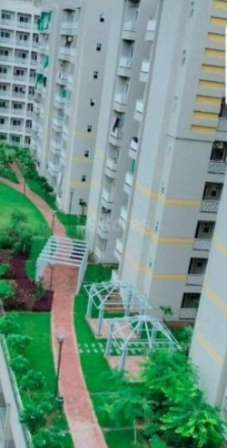 2 BHK flat in Morar Gwalior