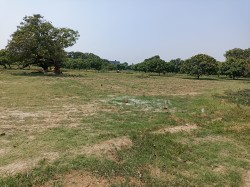 Plot/ Land in Ramjanki Nagar Gorakhpur