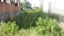 Plot/ Land in Bhullanpur Varanasi