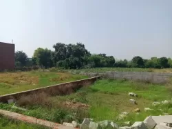 Plot/ Land in Greater Noida Greater Noida
