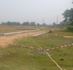 Plot/ Land in Bhogipur Patna