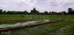 Plot/ Land in Deokali Ayodhya