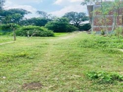 Plot/ Land in Faizabad Road Ayodhya