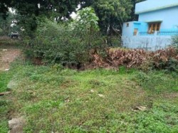 Plot/ Land in Mustra Jhansi