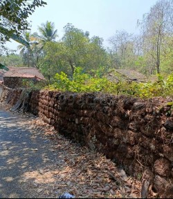 Plot/ Land in Aldona Goa