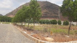 Plot/ Land in Gollapudi Vijayawada