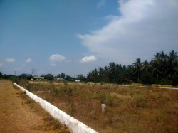 Plot/ Land in Tadepalli Vijayawada