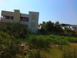 Plot/ Land in Pamarru Vijayawada