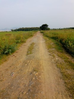 Plot/ Land in Kanchikacherla Vijayawada
