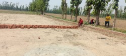 Plot/ Land in Tarkulha Gorakhpur