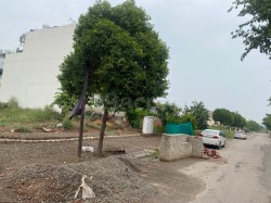 Plot/ Land in Sector 109 Mohali