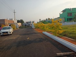 Plot/ Land in YSR Nagar Vizianagaram