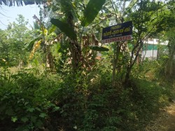 Plot/ Land in Edakkattukayattam Thodupuzha