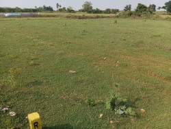 Plot/ Land in Pandur Thiruvallur