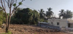 Plot/ Land in Edayarpalayam Road Mettupalayam