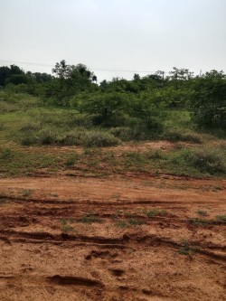 Plot/ Land in Saminatham Sivakasi