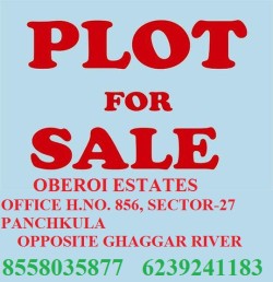 Plot/ Land in Sector 28 Panchkula