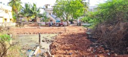 Plot/ Land in Iyer Bungalow Madurai