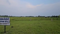 Plot/ Land in Phulwari Sharif Patna