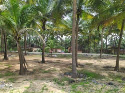 Plot/ Land in Padubidri Udupi