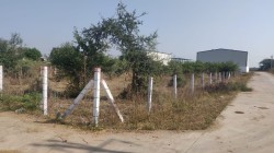 Plot/ Land in Karachiya Vadodara