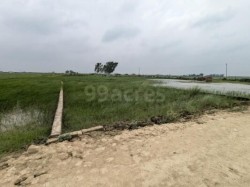 Plot/ Land in Gulhariya Gorakhpur