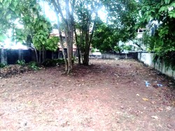 Plot/ Land in Kaloor Kochi