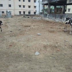 Plot/ Land in Porur Chennai