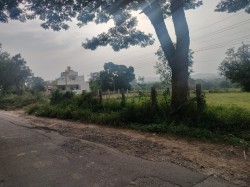 Plot/ Land in Bannikuppe Bangalore