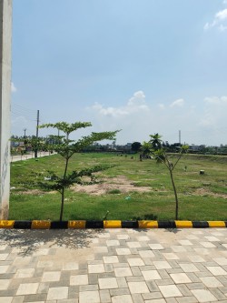 Motia Estate