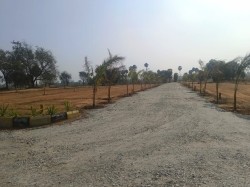 Aarjava Farms